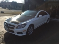 Mercedes CLS 550 - tail light color covers and carbon fiber accents  (7).JPG